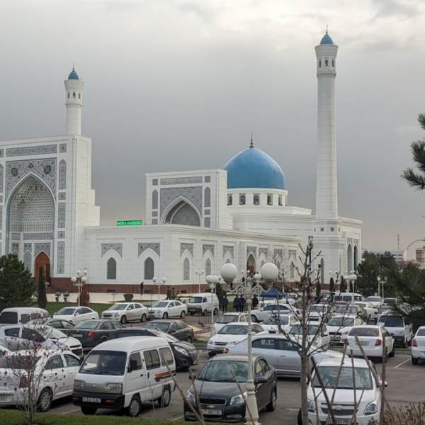 «Узбекистан — не для тянучих»